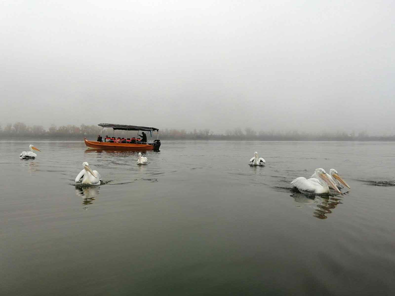 706fc35c 4f45 4401 Aa0d 1e21acf20c87